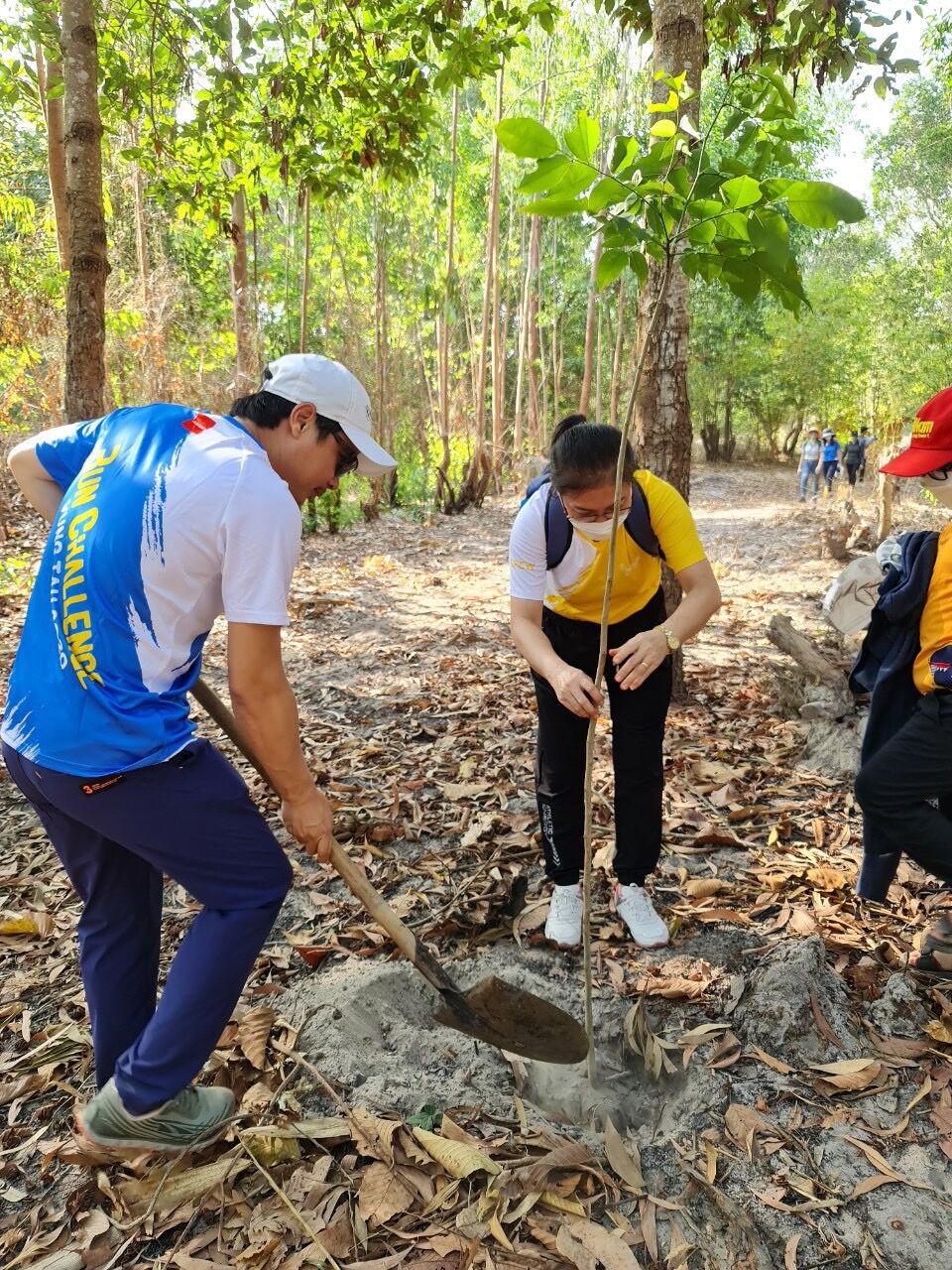 Every solo traveler plants 10 trees – real impact